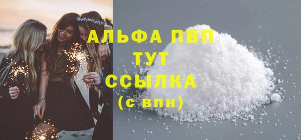 СК Алексин