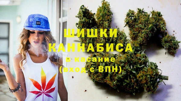 шишки Алзамай
