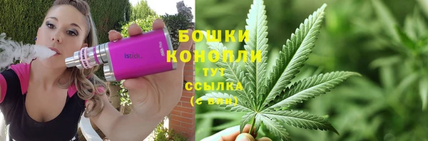 шишки Алзамай