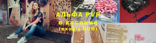 СК Алексин