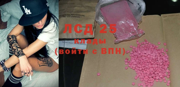 шишки Алзамай