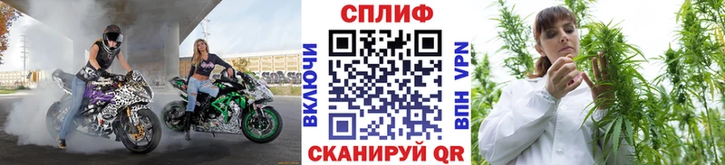 Канабис сатива  Баймак 